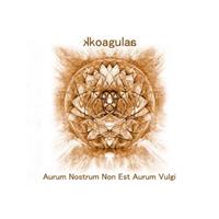 Kkoagulaa - Aurum nostrum non est aurum vulgi