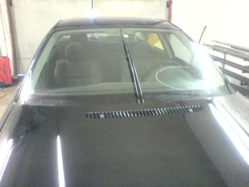 DSC00636.jpg
