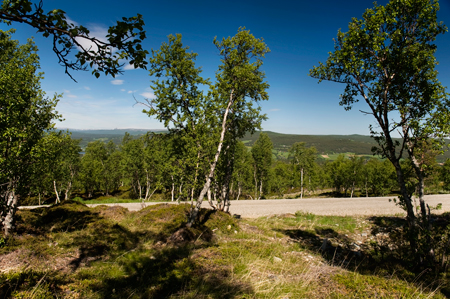 Hyttetomt nr 13